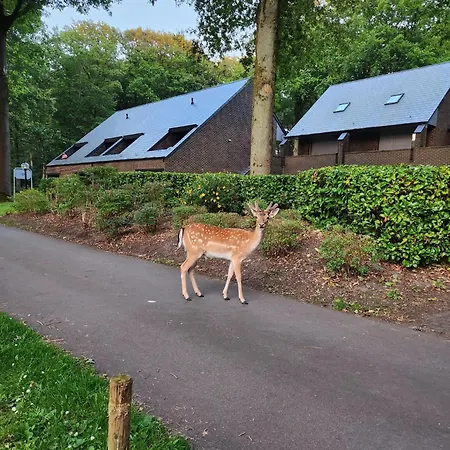 Den 1 Hengelhoef * Aan de Wolfsberg